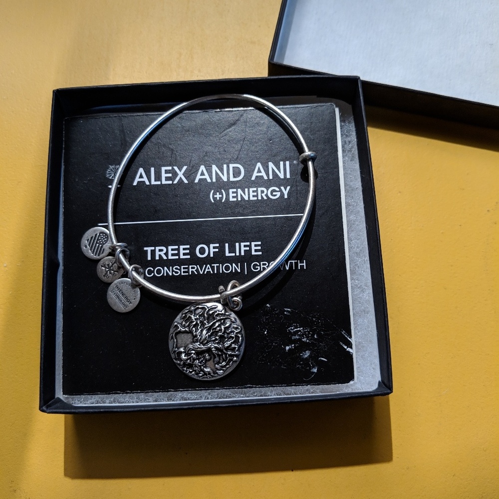 Alex and Ani Tree of life bracelet